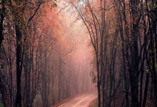 台湾选手获得比赛突破性胜利