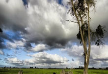 萨尔茨堡主场大胜锁定小组头名位置