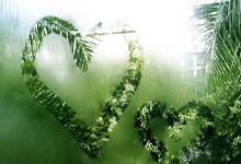 山西队欲赢得胜利，全力以赴