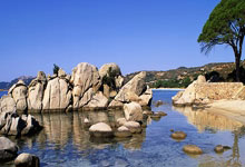 莱斯特城巨头加盟摩纳哥，引发法甲球队重组风波